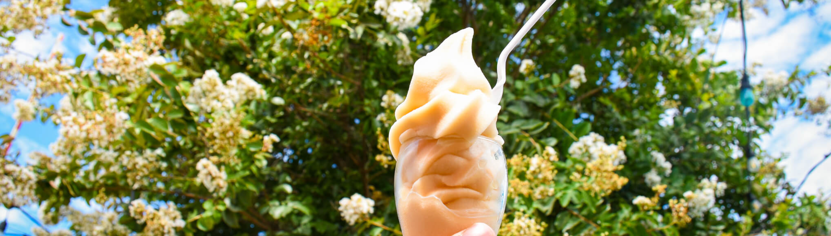 beer Soft serve