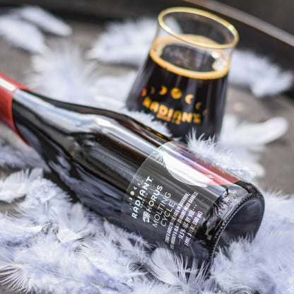 Molting Cycle Horus Collab: Stout & Barleywine aged in Bourbon, Rye Whiskey & Black Currant Mead Barrels (14.5%) [2024]
